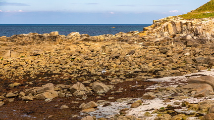 119 BRETAGNE-PAYSAGE ROCHEUX--07 4444-2500