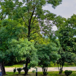 FRANCE_2024_1_MONTELIMARD