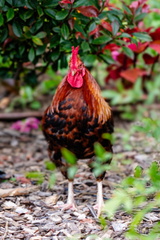 659 153 MONTELIMAR LE PARC-20240607-163545-FAYENCE-015 1250-1875