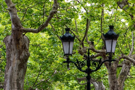 660 153 MONTELIMAR LE PARC-20240607-163834-FAYENCE-016 1875-1250