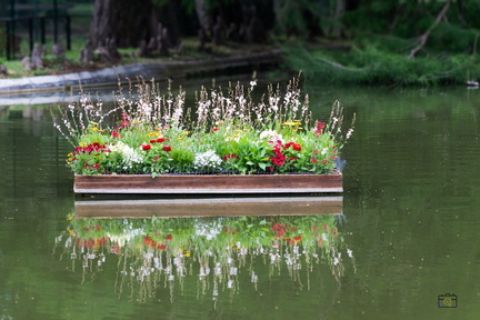 667 153 MONTELIMAR LE PARC-20240607-181319-FAYENCE-023 1875-1250