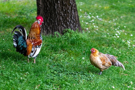 668 153 MONTELIMAR LE PARC-20240607-181407-FAYENCE-024 1875-1250