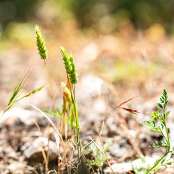 FRANCE_2024_2_FAYENCE