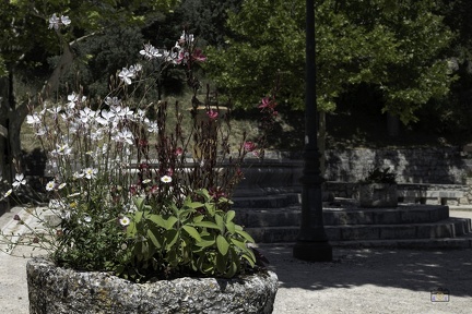 437 117 SEILLANS-20240617-122234-FAYENCE-015 1875-1250