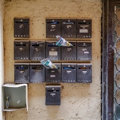 595 140 FREJUS-20240619-135117-FAYENCE-030 1250-1250