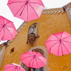 515 131 GRASSE LA VILLE-20240613-130522-FAYENCE-006 1250-1250