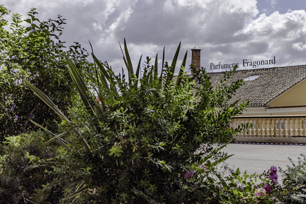 532 132 FRAGONARD-20240613-112259-FAYENCE-001 1875-1250