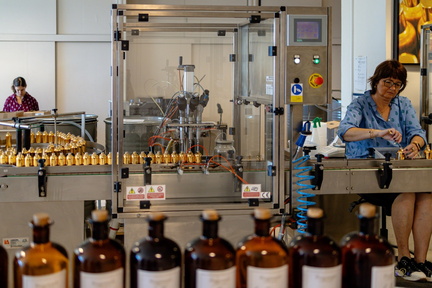 540 132 FRAGONARD-20240613-115620-FAYENCE-009 1875-1250