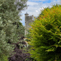 690 170 CHAMBERY-20240623-114130-FAYENCE-022 1250-1250