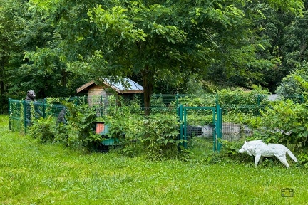 693 170 CHAMBERY-20240623-114337-FAYENCE-025 1875-1250