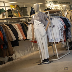 844 182 TROYES MAGASINS USINES-20240624-150237-FAYENCE-038 1250-1250