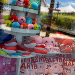 847 182 TROYES MAGASINS USINES-20240624-151134-FAYENCE-041 1250-1250