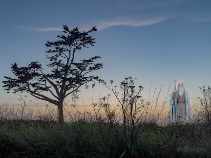 LEGENDE-BRETONNE Merlin