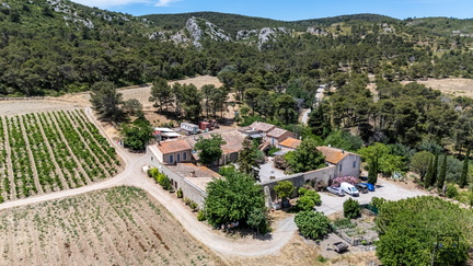 PAYSAGE-DOMAINE-SAINTE-EUGENIE-20250627-OlivierRaucroix-06