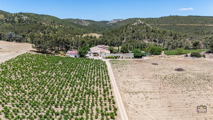 PAYSAGE-DOMAINE-SAINTE-EUGENIE-20250627-OlivierRaucroix-07