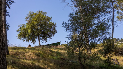 PAYSAGE-FORET-DE-FONTFROIDE-20250622-OlivierRaucroix-01