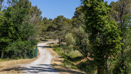 PAYSAGE-FORET-DE-FONTFROIDE-20250622-OlivierRaucroix-02