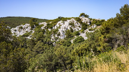 PAYSAGE-FORET-DE-FONTFROIDE-20250622-OlivierRaucroix-03