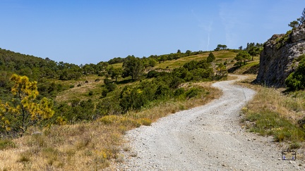 PAYSAGE-FORET-DE-FONTFROIDE-20250622-OlivierRaucroix-04