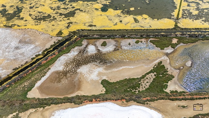 PAYSAGE-LES-SALINS-DE-GRUISSAN-20250624-OlivierRaucroix-06