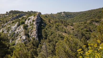 AUDE Foret de Frontfroide - 02 - Olivier RAUCROIX - CRPC