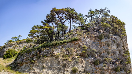 AUDE Foret de Frontfroide - 03 - Olivier RAUCROIX - CRPC