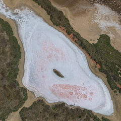 Les Salins de Gruissan -04 - Olivier RAUCROIX - CRPC