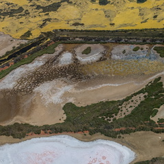 Les Salins de Gruissan -05 - Olivier RAUCROIX - CRPC