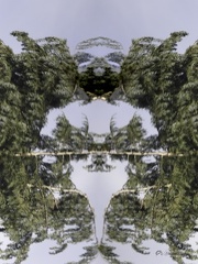 DIVERS-20250514-163234-015