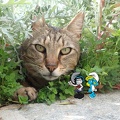 Chat-Caroline
