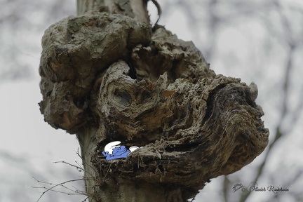 Il a cru que je ne le trouverais pas