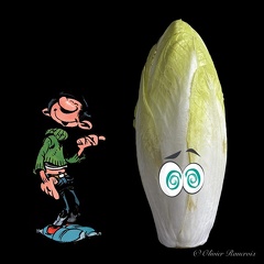 J-ai-mange-Gaston-le-Chicon