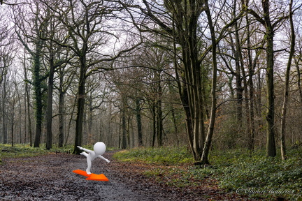 Le-Surfeur-du-Bois-du-Prince