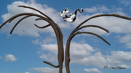 Monde Parallele Ostende Chat-de-Gaston