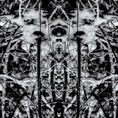 VISION 20260110-160439-001