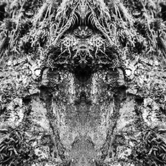 VISION 20260204-154404-001