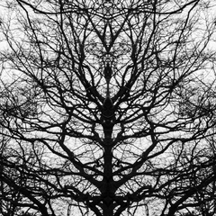 VISION 20260204-155009-001